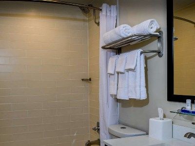 Hotel Best Western Plus Convention Center 3*